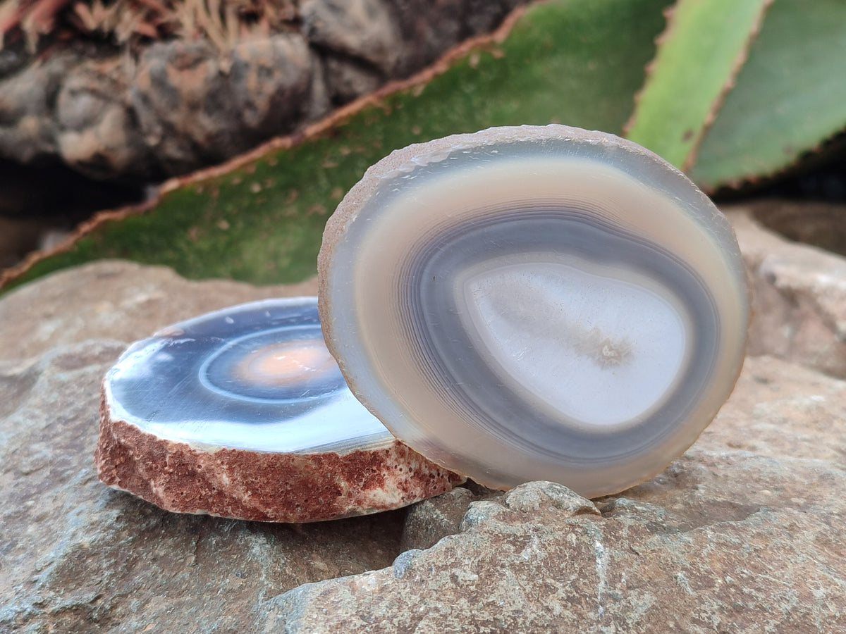 Polished Banded Agate Slices x 12 From Madagascar - Toprock Gemstones and Minerals 
