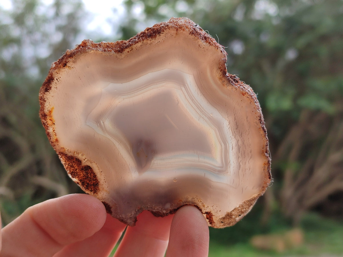 Polished Banded Agate Slices x 12 From Madagascar - Toprock Gemstones and Minerals 