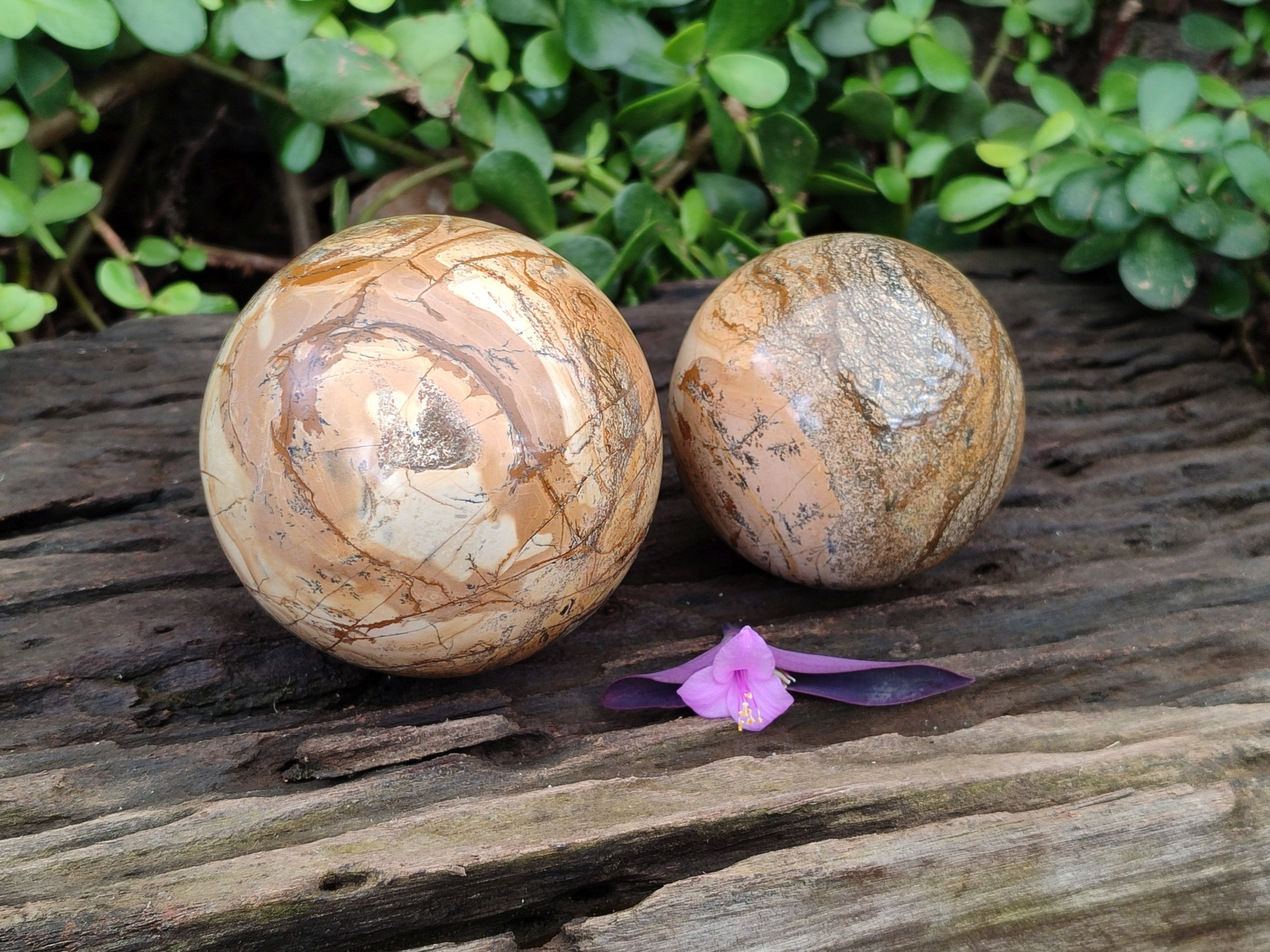 Polished Picturestone Jasper Spheres x 2 From Northwest Coast, Madagascar - Toprock Gemstones and Minerals 