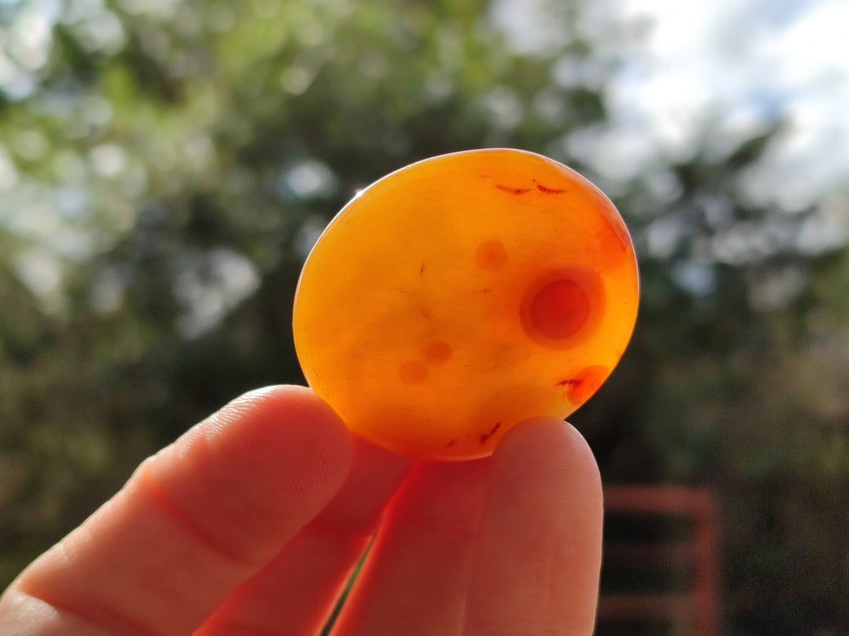 Polished Small Carnelian Agate "Jewellery" Palm Stones x 49 From Madagascar - Toprock Gemstones and Minerals 