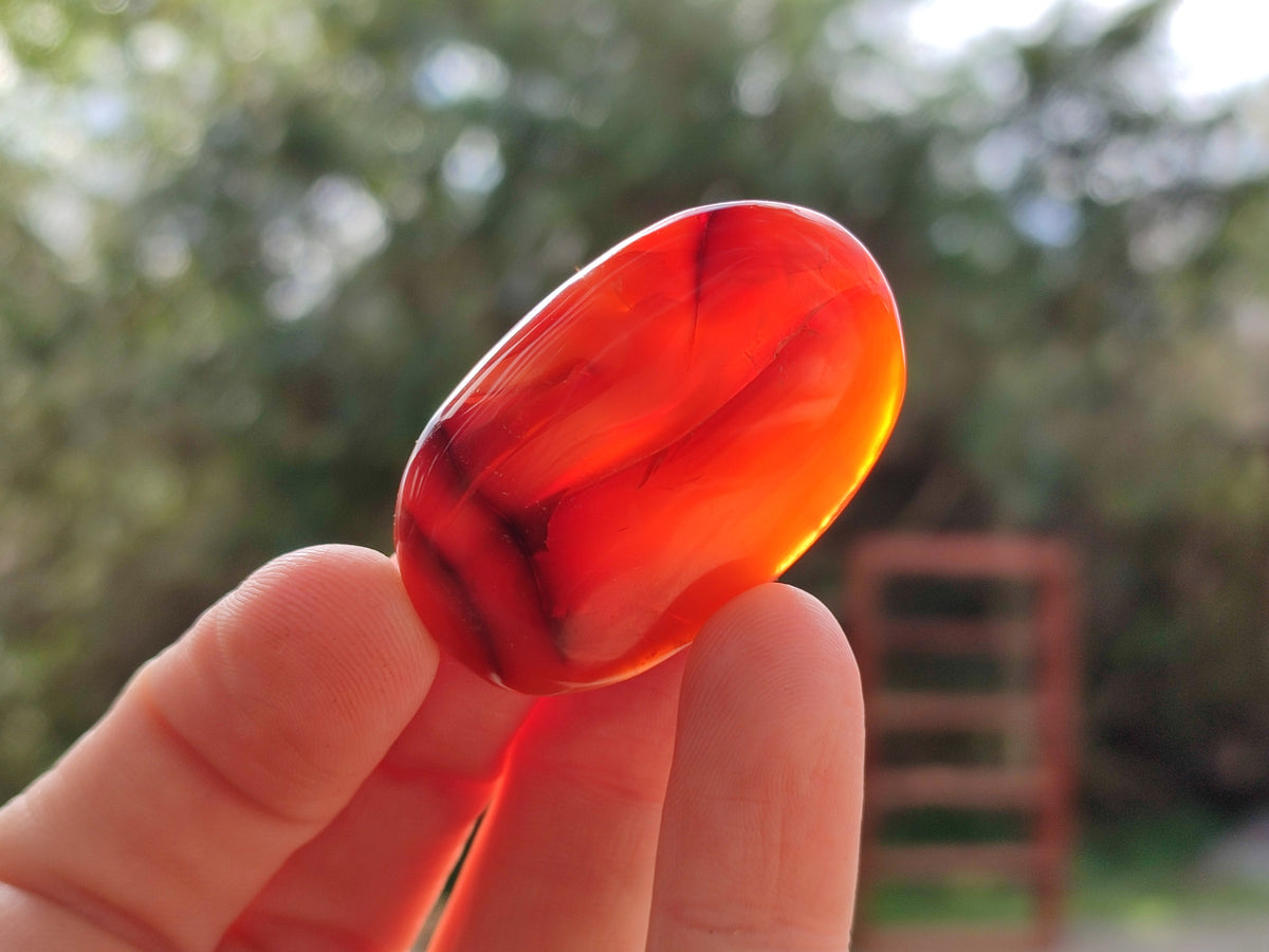 Polished Small Carnelian Agate "Jewellery" Palm Stones x 49 From Madagascar - Toprock Gemstones and Minerals 