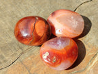 Polished Small Carnelian Agate "Jewellery" Palm Stones x 49 From Madagascar - Toprock Gemstones and Minerals 
