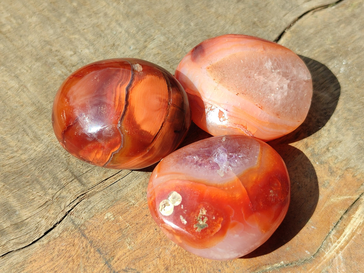 Polished Small Carnelian Agate "Jewellery" Palm Stones x 49 From Madagascar - Toprock Gemstones and Minerals 