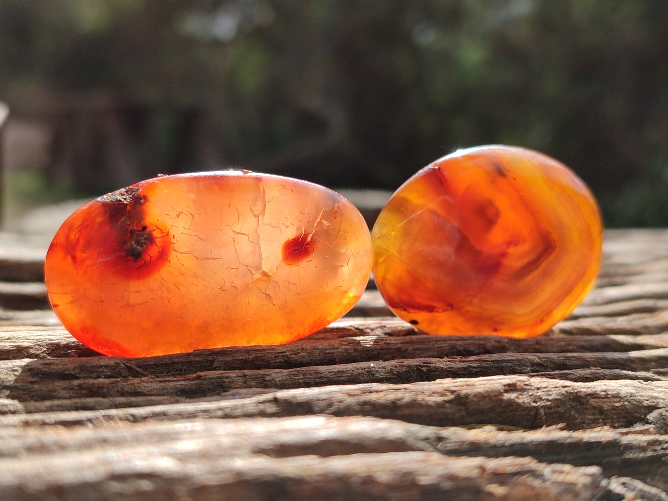 Polished Small Carnelian Agate "Jewellery" Palm Stones x 49 From Madagascar - Toprock Gemstones and Minerals 