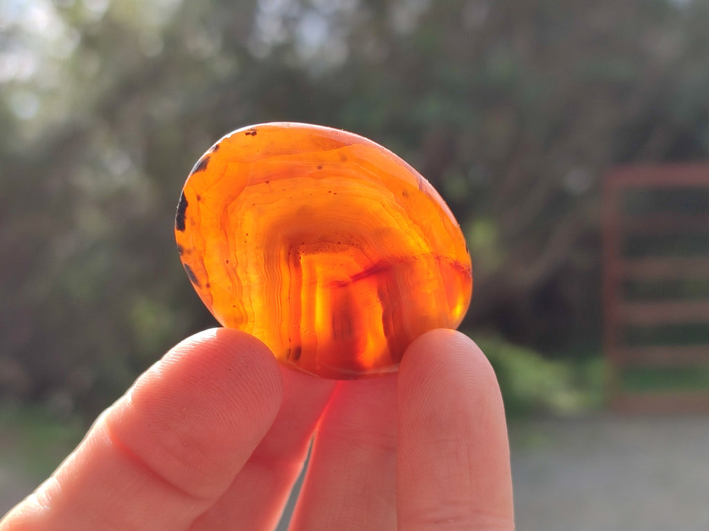Polished Small Carnelian Agate "Jewellery" Palm Stones x 49 From Madagascar - Toprock Gemstones and Minerals 