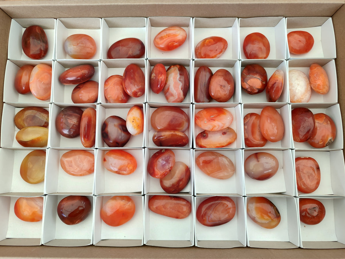 Polished Small Carnelian Agate "Jewellery" Palm Stones x 49 From Madagascar - Toprock Gemstones and Minerals 