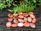 Polished Small Carnelian Agate "Jewellery" Palm Stones x 49 From Madagascar - Toprock Gemstones and Minerals 