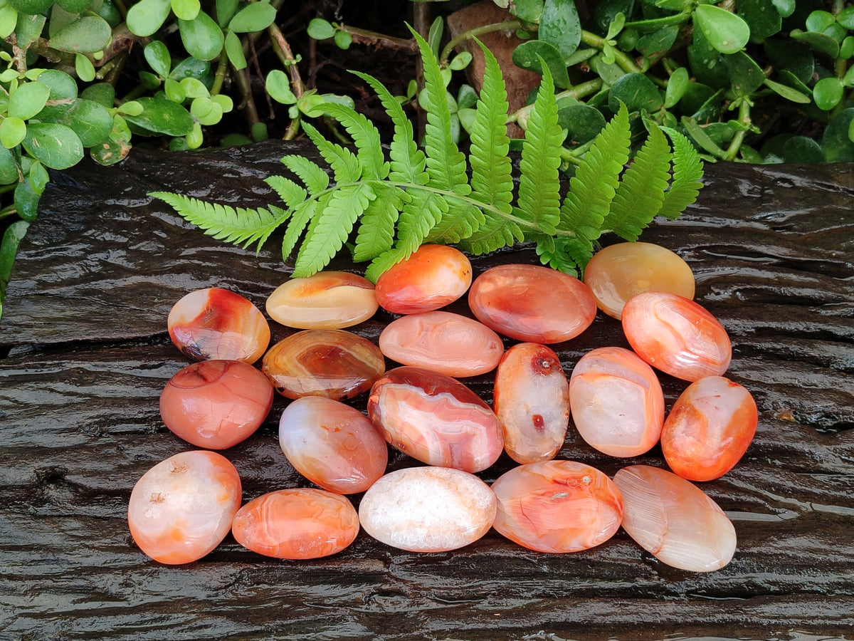 Polished Small Carnelian Agate "Jewellery" Palm Stones x 49 From Madagascar - Toprock Gemstones and Minerals 