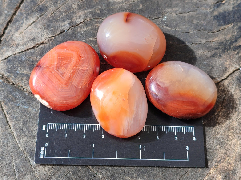 Polished Small Carnelian Agate "Jewellery" Palm Stones x 49 From Madagascar - Toprock Gemstones and Minerals 