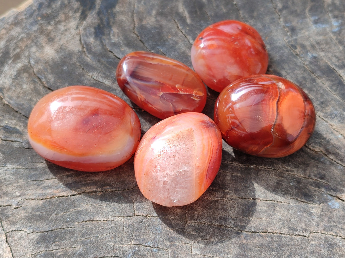 Polished Small Carnelian Agate "Jewellery" Palm Stones x 49 From Madagascar - Toprock Gemstones and Minerals 