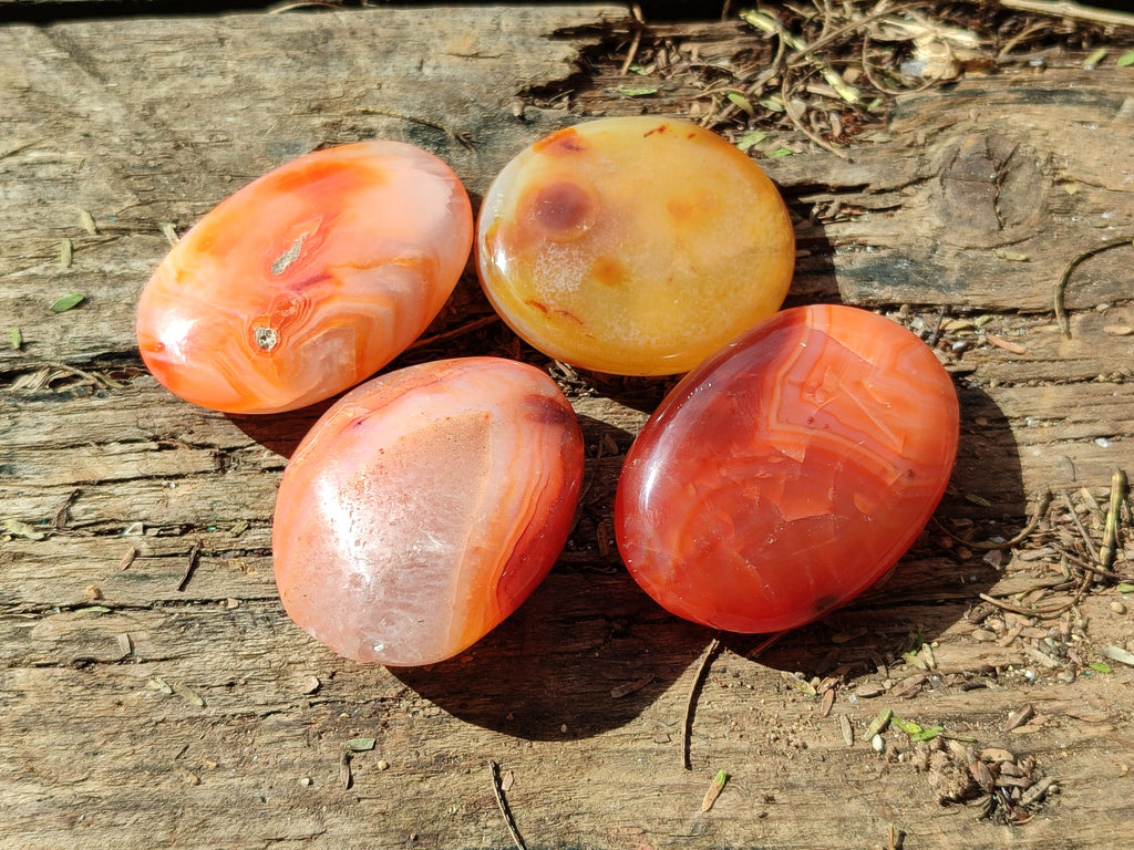 Polished Small Carnelian Agate "Jewellery" Palm Stones x 49 From Madagascar - Toprock Gemstones and Minerals 