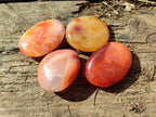Polished Small Carnelian Agate "Jewellery" Palm Stones x 49 From Madagascar - Toprock Gemstones and Minerals 