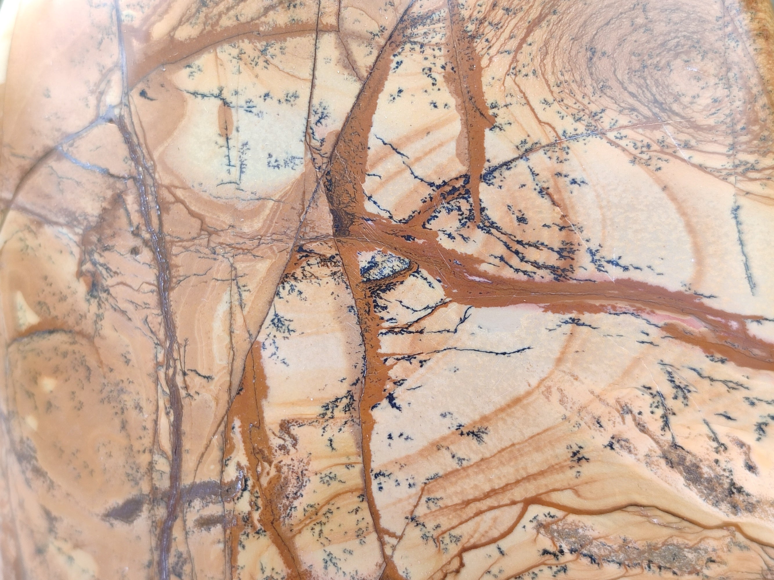 Polished Large Picture Stone Jasper Standing Free Form x 1 From Ais-Ais, Namibia - Toprock Gemstones and Minerals 