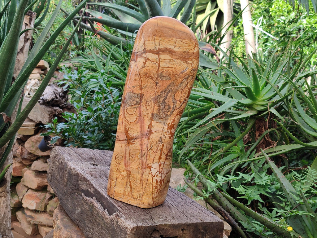 Polished Large Picture Stone Jasper Standing Free Form x 1 From Ais-Ais, Namibia - Toprock Gemstones and Minerals 