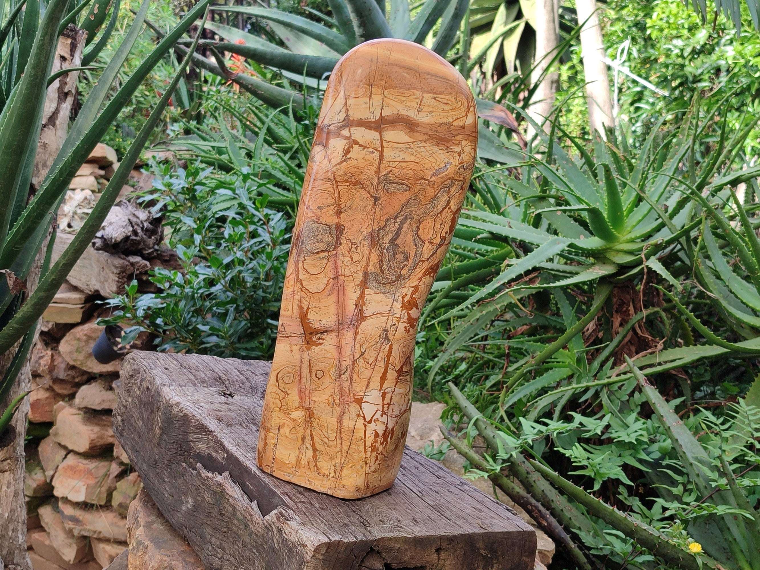 Polished Large Picture Stone Jasper Standing Free Form x 1 From Ais-Ais, Namibia - Toprock Gemstones and Minerals 