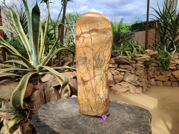 Polished Large Picture Stone Jasper Standing Free Form x 1 From Ais-Ais, Namibia