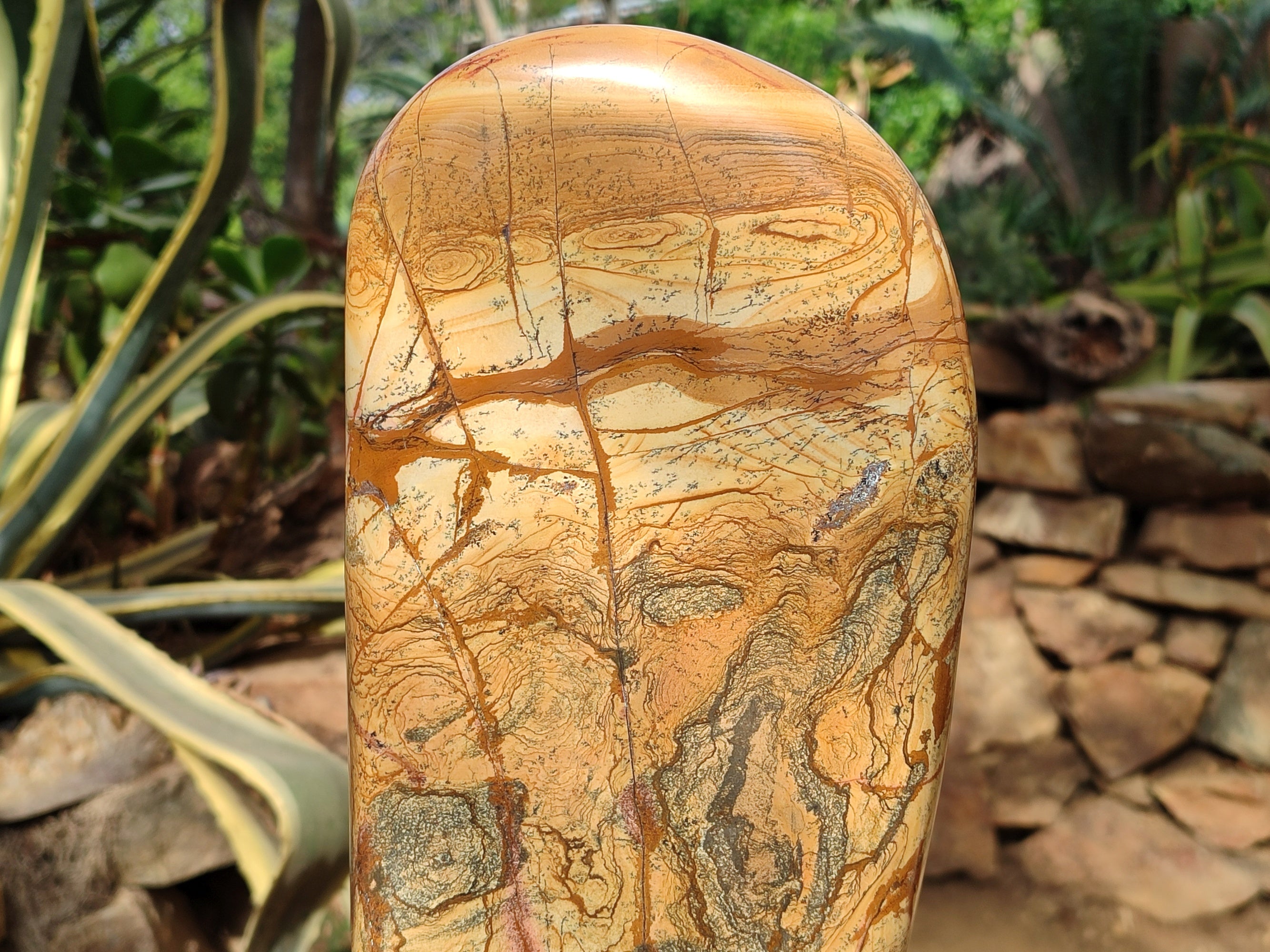 Polished Large Picture Stone Jasper Standing Free Form x 1 From Ais-Ais, Namibia - Toprock Gemstones and Minerals 