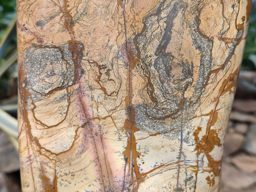 Polished Large Picture Stone Jasper Standing Free Form x 1 From Ais-Ais, Namibia - Toprock Gemstones and Minerals 