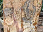 Polished Large Picture Stone Jasper Standing Free Form x 1 From Ais-Ais, Namibia - Toprock Gemstones and Minerals 