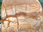 Polished Large Picture Stone Jasper Standing Free Form x 1 From Ais-Ais, Namibia - Toprock Gemstones and Minerals 