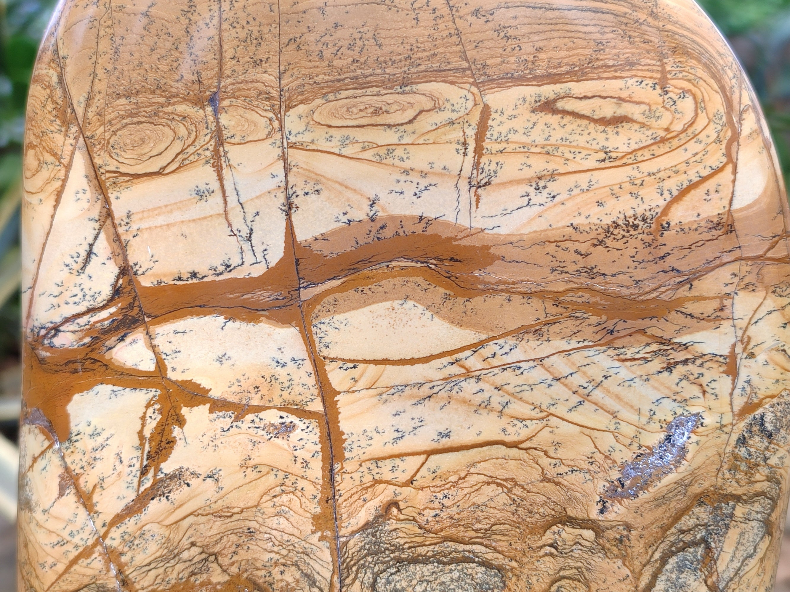 Polished Large Picture Stone Jasper Standing Free Form x 1 From Ais-Ais, Namibia - Toprock Gemstones and Minerals 