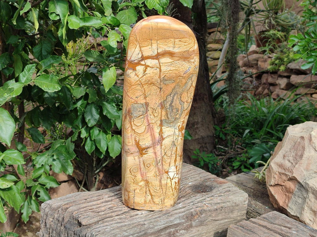 Polished Large Picture Stone Jasper Standing Free Form x 1 From Ais-Ais, Namibia - Toprock Gemstones and Minerals 