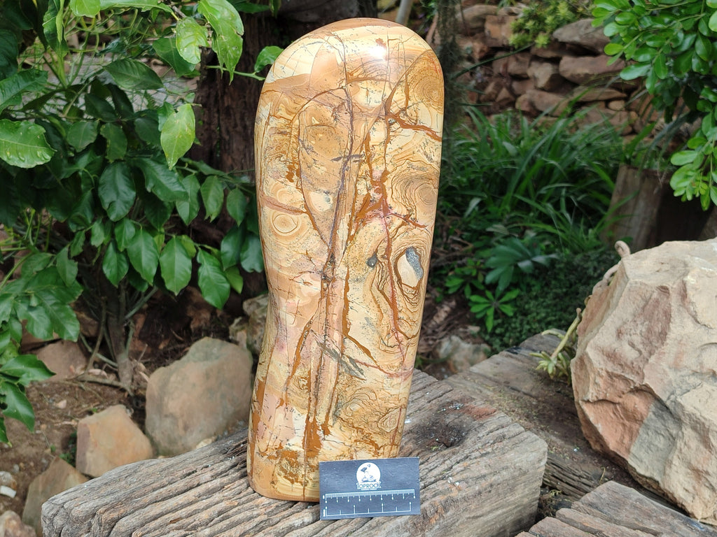 Polished Large Picture Stone Jasper Standing Free Form x 1 From Ais-Ais, Namibia - Toprock Gemstones and Minerals 