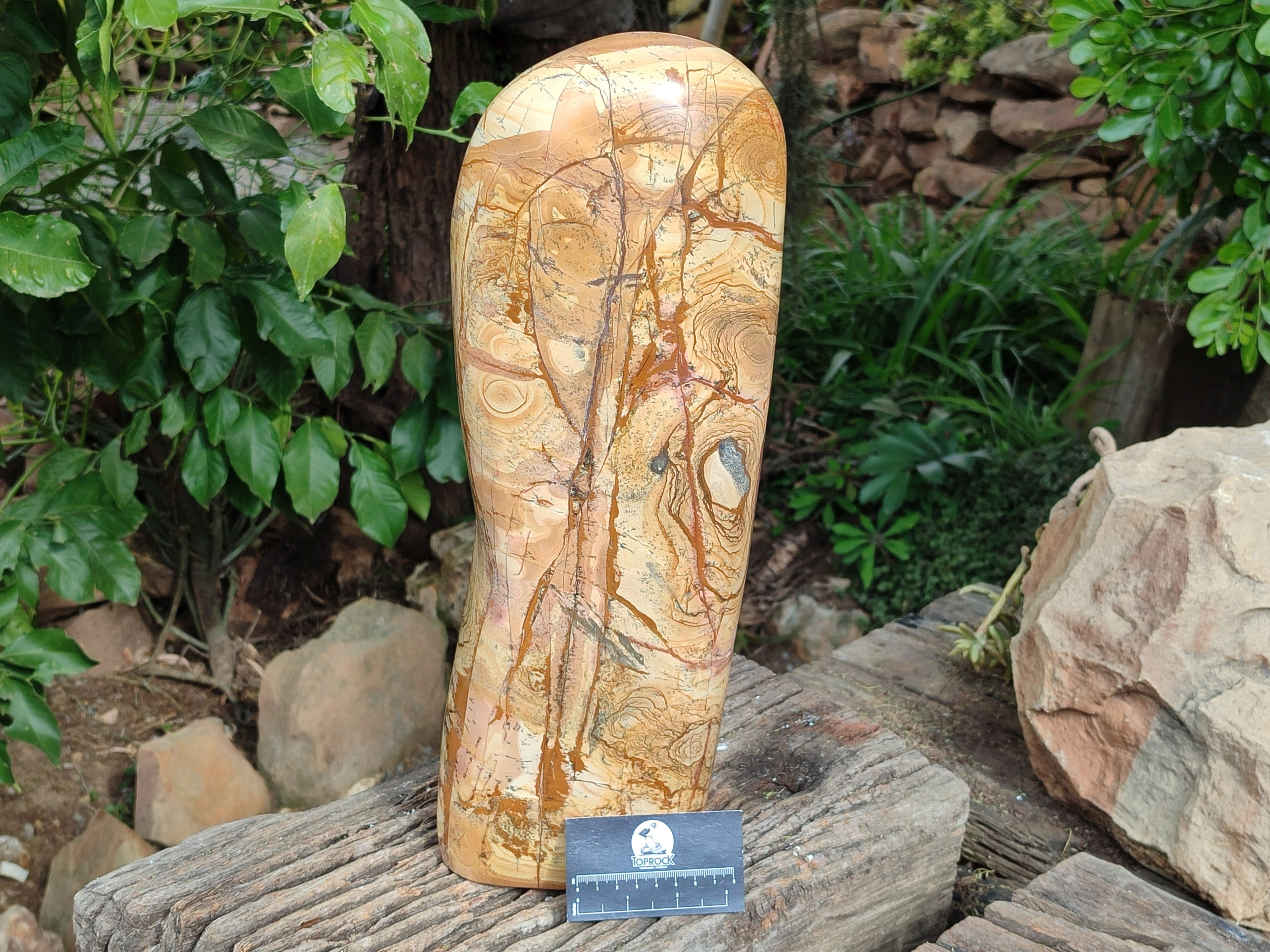 Polished Large Picture Stone Jasper Standing Free Form x 1 From Ais-Ais, Namibia - Toprock Gemstones and Minerals 