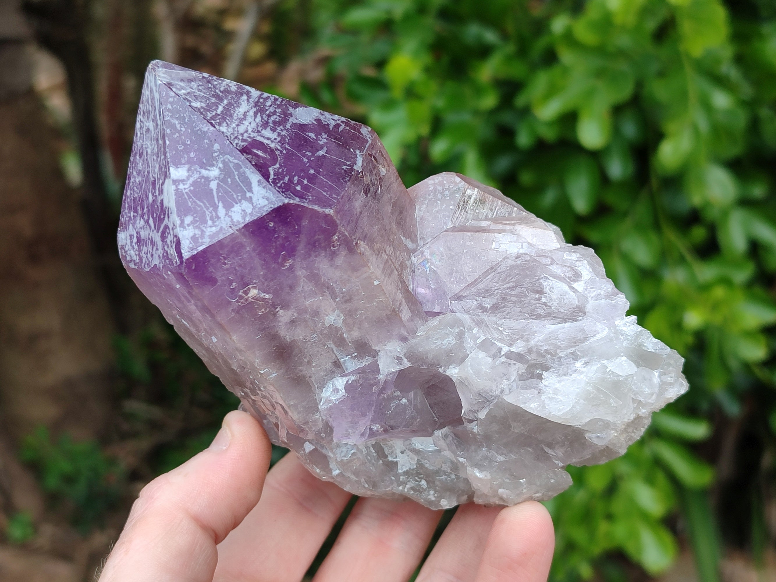 Natural Jacaranda Amethyst Quartz Cluster x 3 From Mumbwa, Zambia - Toprock Gemstones and Minerals 