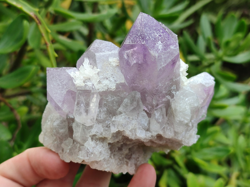 Natural Jacaranda Amethyst Quartz Cluster x 3 From Mumbwa, Zambia - Toprock Gemstones and Minerals 