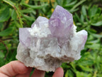 Natural Jacaranda Amethyst Quartz Cluster x 3 From Mumbwa, Zambia - Toprock Gemstones and Minerals 