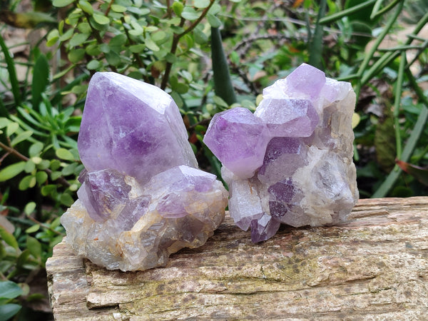 Natural Jacaranda Amethyst Quartz Cluster x 3 From Mumbwa, Zambia