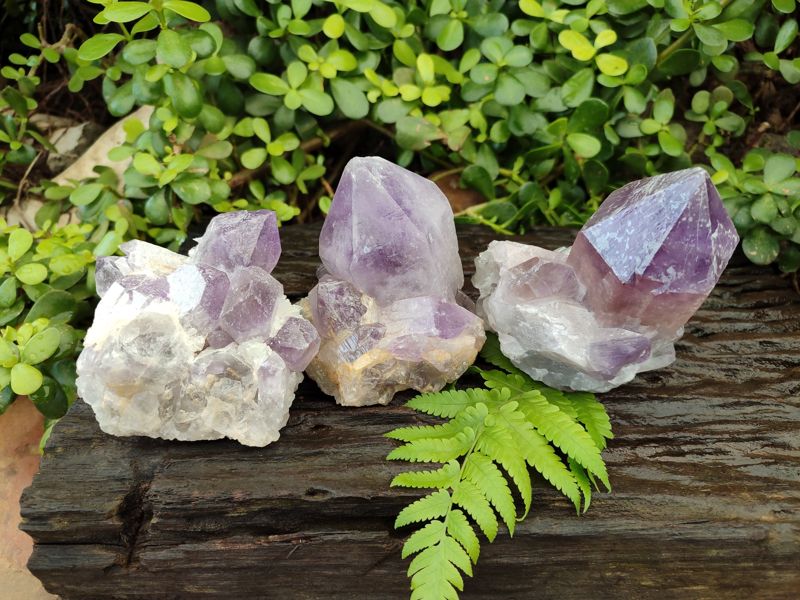 Natural Jacaranda Amethyst Quartz Cluster x 3 From Mumbwa, Zambia - Toprock Gemstones and Minerals 