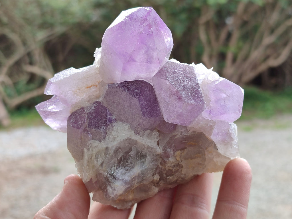Natural Jacaranda Amethyst Quartz Cluster x 3 From Mumbwa, Zambia - Toprock Gemstones and Minerals 