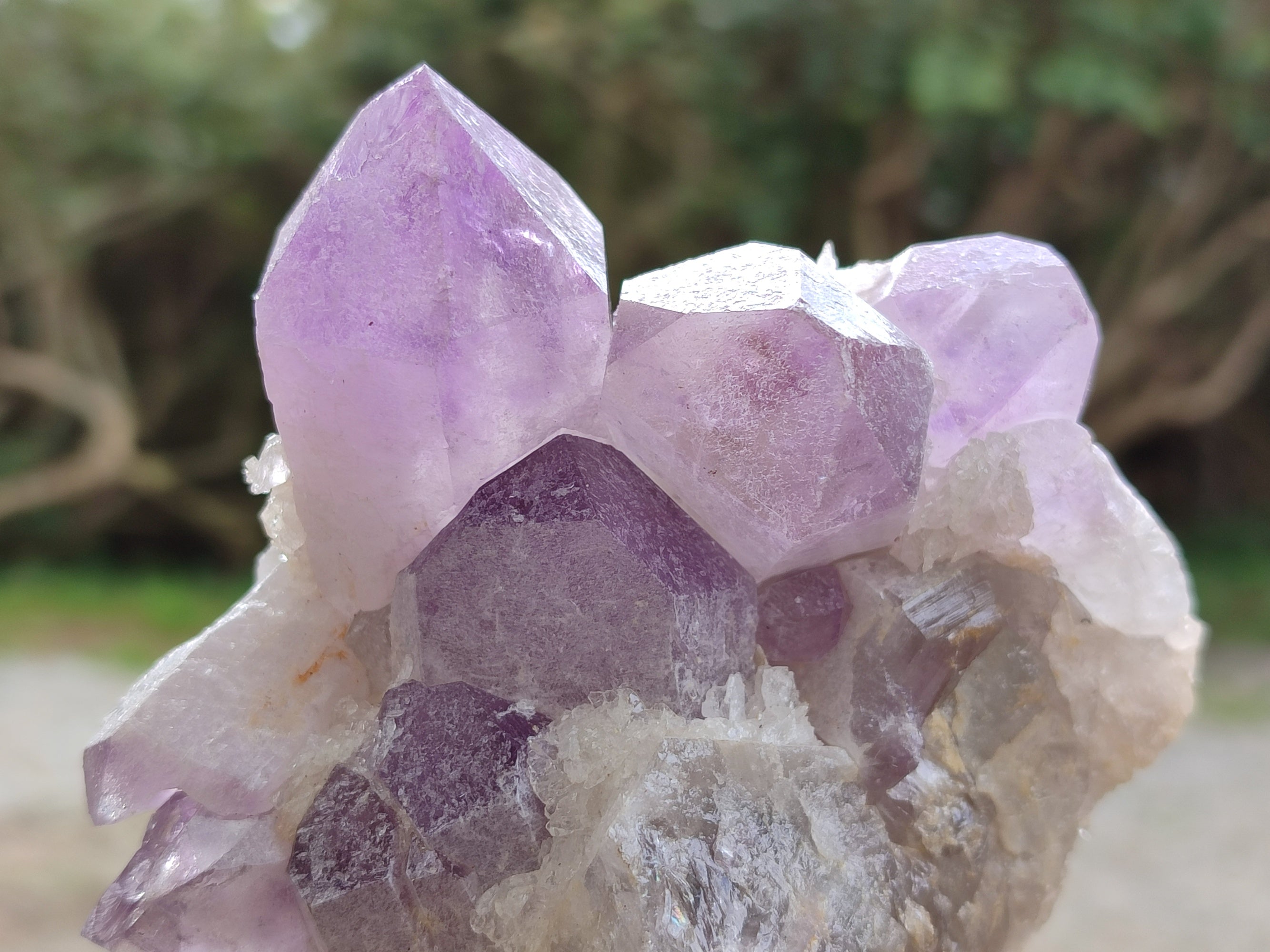 Natural Jacaranda Amethyst Quartz Cluster x 3 From Mumbwa, Zambia - Toprock Gemstones and Minerals 