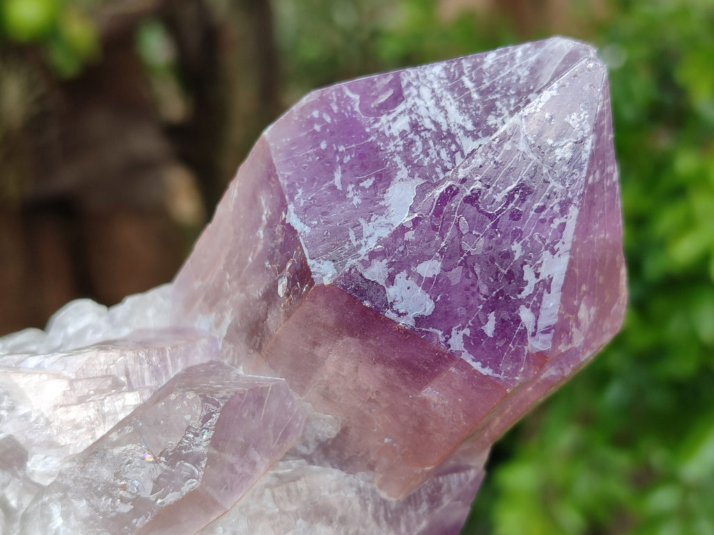 Natural Jacaranda Amethyst Quartz Cluster x 3 From Mumbwa, Zambia - Toprock Gemstones and Minerals 