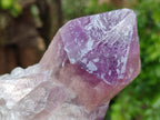 Natural Jacaranda Amethyst Quartz Cluster x 3 From Mumbwa, Zambia - Toprock Gemstones and Minerals 