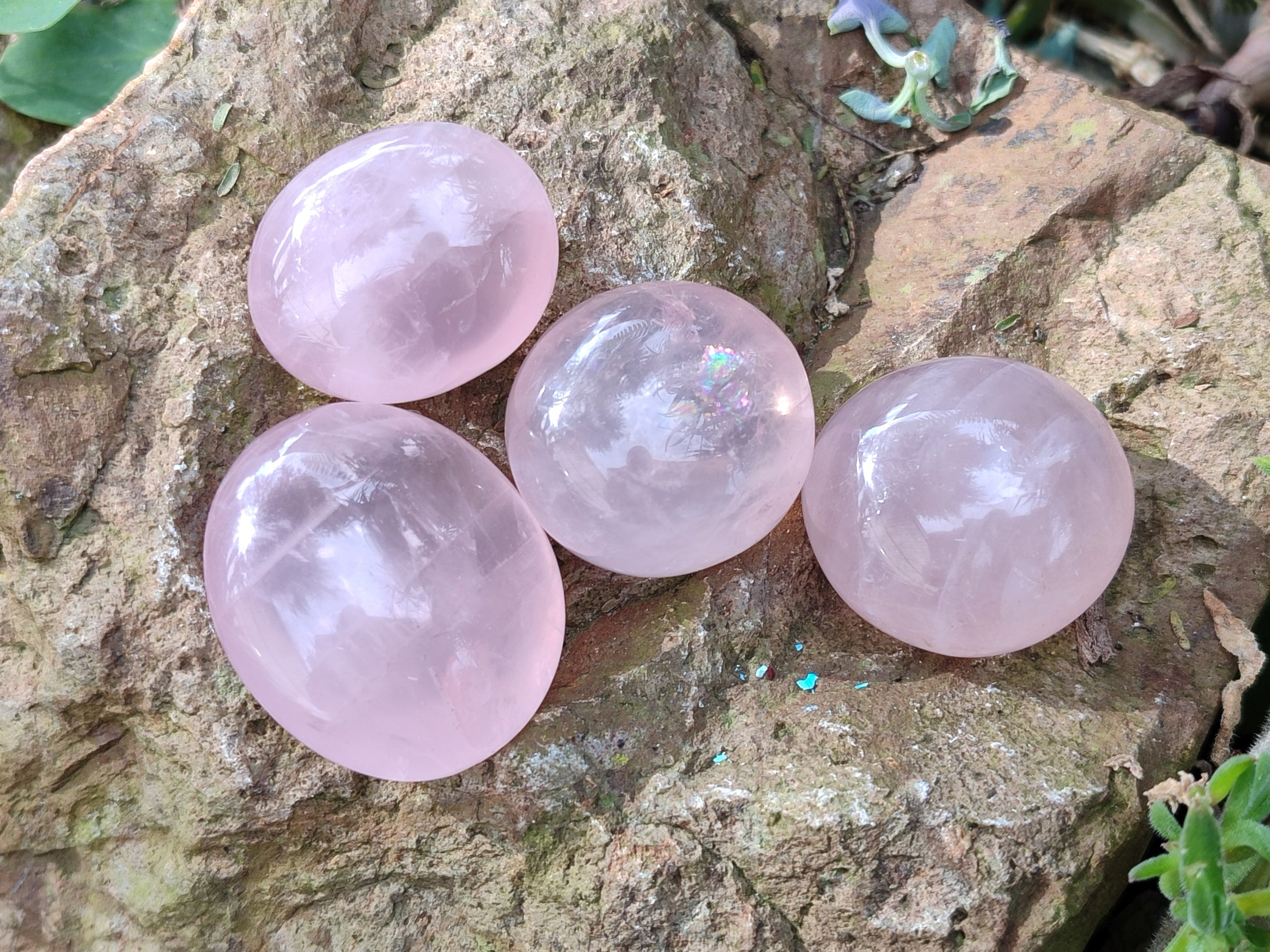 Polished Rose Quartz Palm Stones x 35 From Ambatondrazaka, Madagascar - Toprock Gemstones and Minerals 