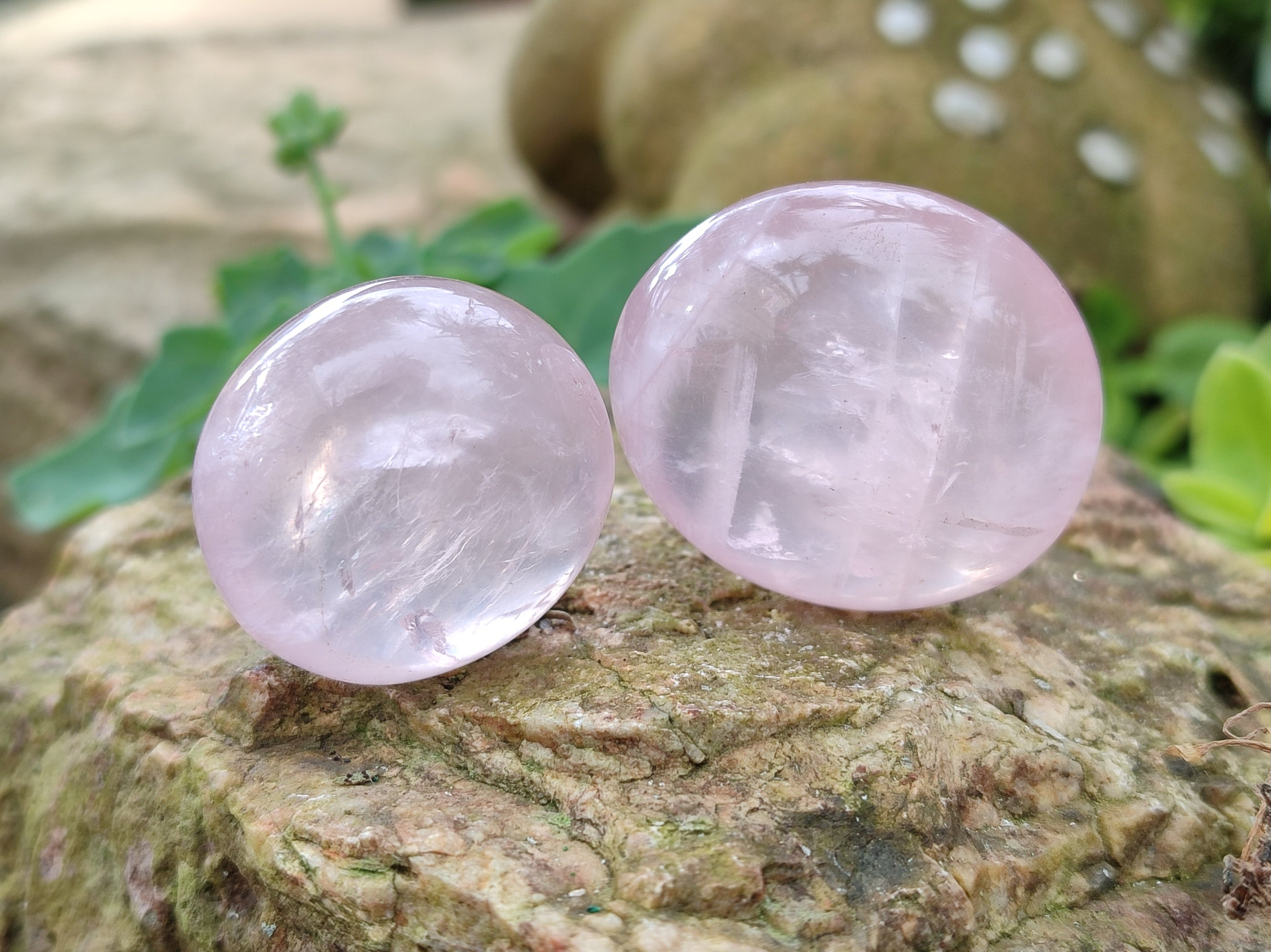 Polished Rose Quartz Palm Stones x 35 From Ambatondrazaka, Madagascar - Toprock Gemstones and Minerals 