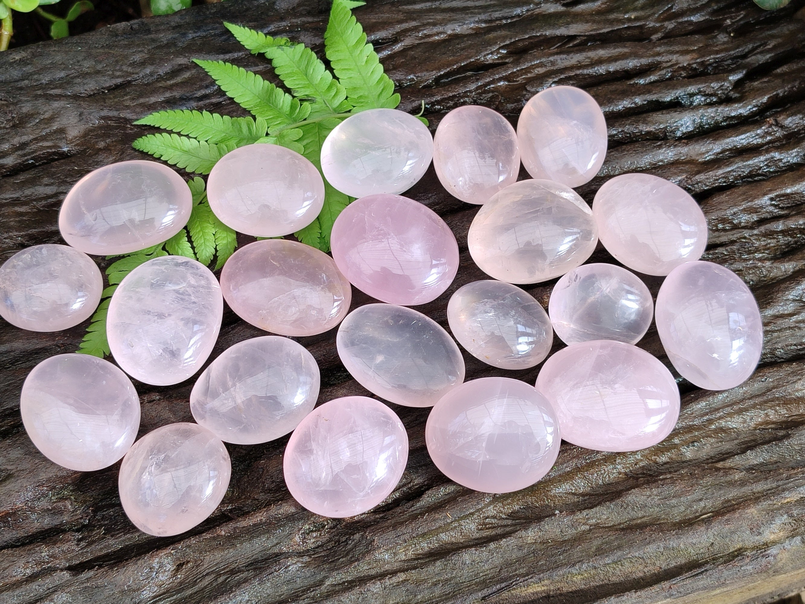 Polished Rose Quartz Palm Stones x 35 From Ambatondrazaka, Madagascar - Toprock Gemstones and Minerals 