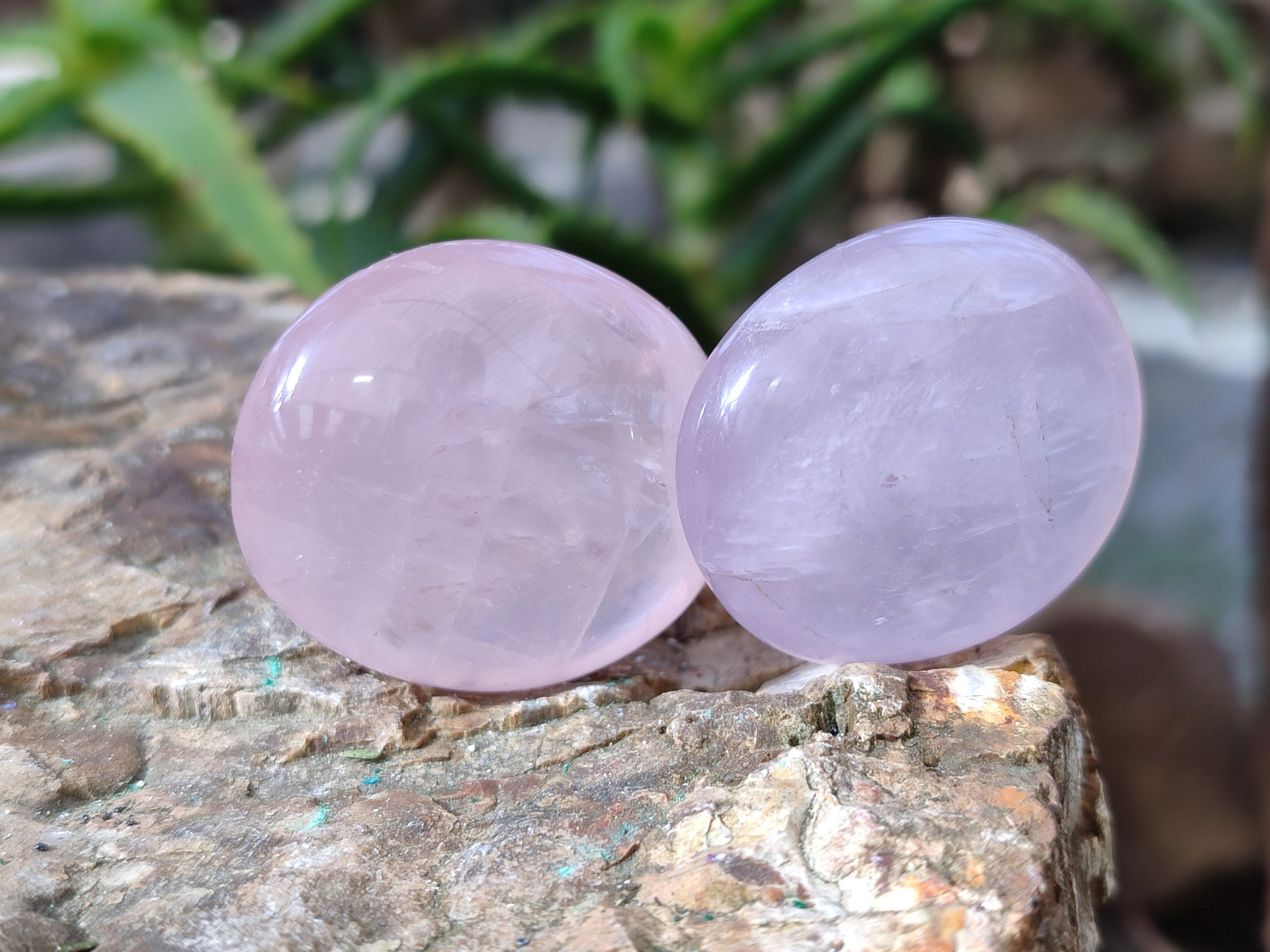 Polished Rose Quartz Palm Stones x 35 From Ambatondrazaka, Madagascar - Toprock Gemstones and Minerals 