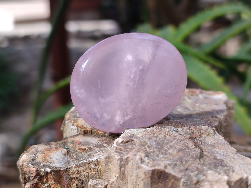 Polished Rose Quartz Palm Stones x 35 From Ambatondrazaka, Madagascar - Toprock Gemstones and Minerals 