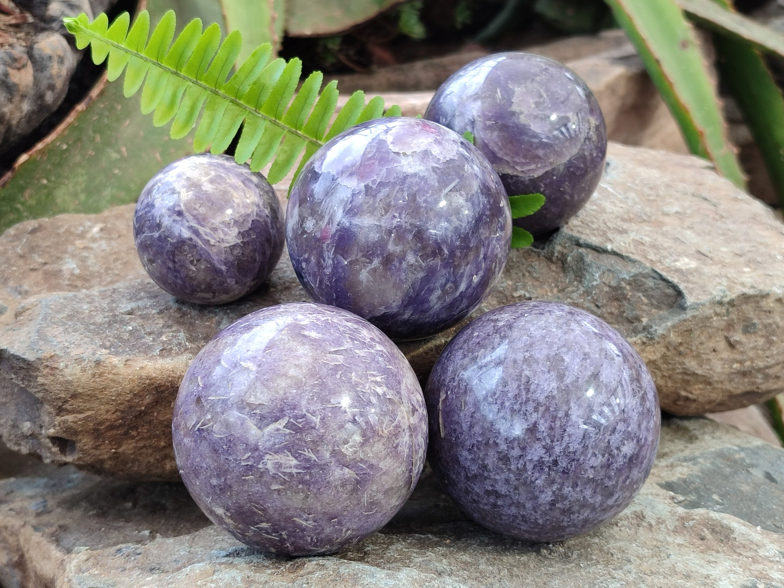 Polished Lepidolite with Pink Rubellite Spheres x 5 From Ambatondrazaka, Madagascar - Toprock Gemstones and Minerals 