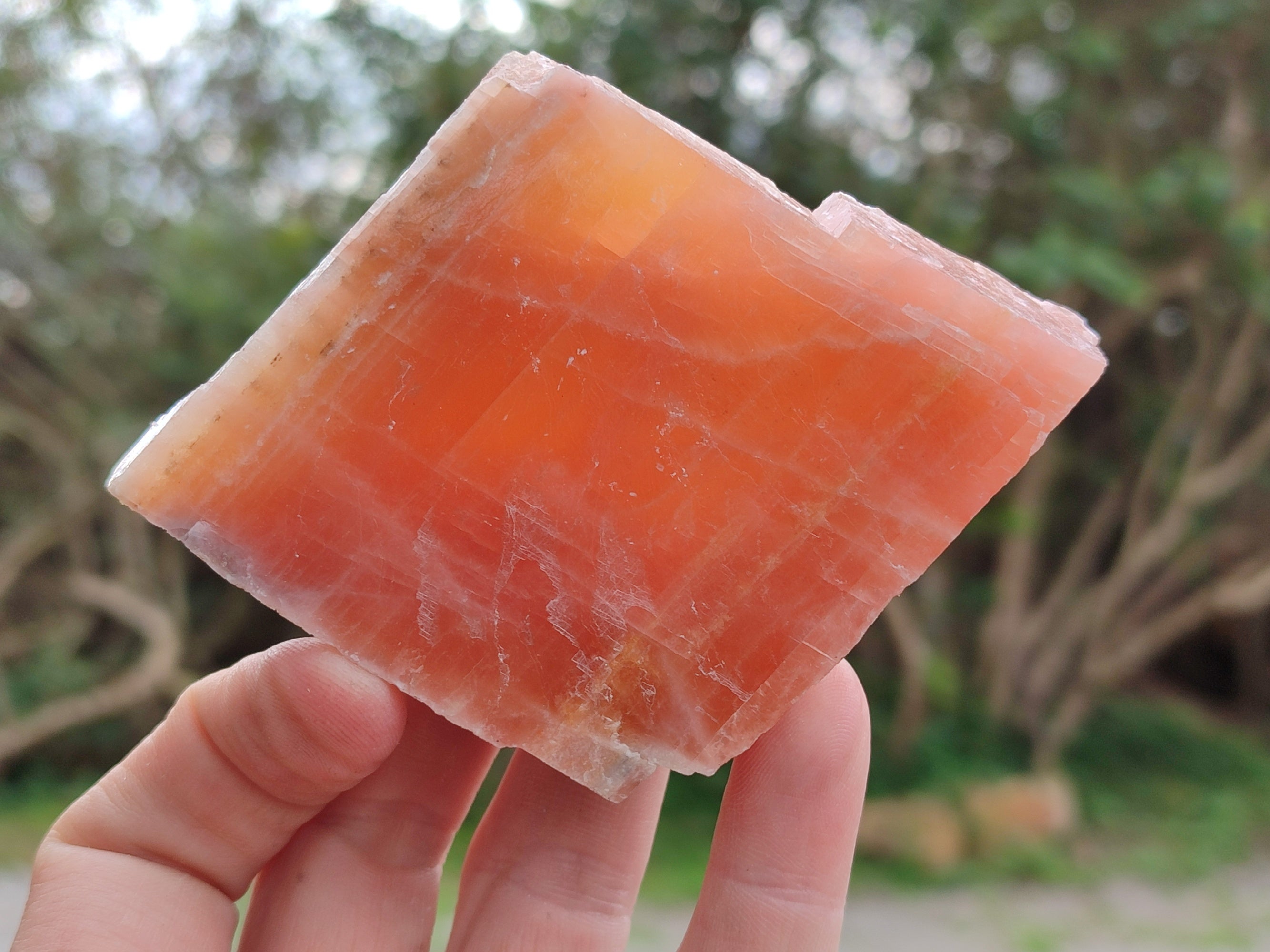 Natural Rhombohedral Sunset Orange Calcite Specimens x 12 From Spitzkop, Namibia - Toprock Gemstones and Minerals 