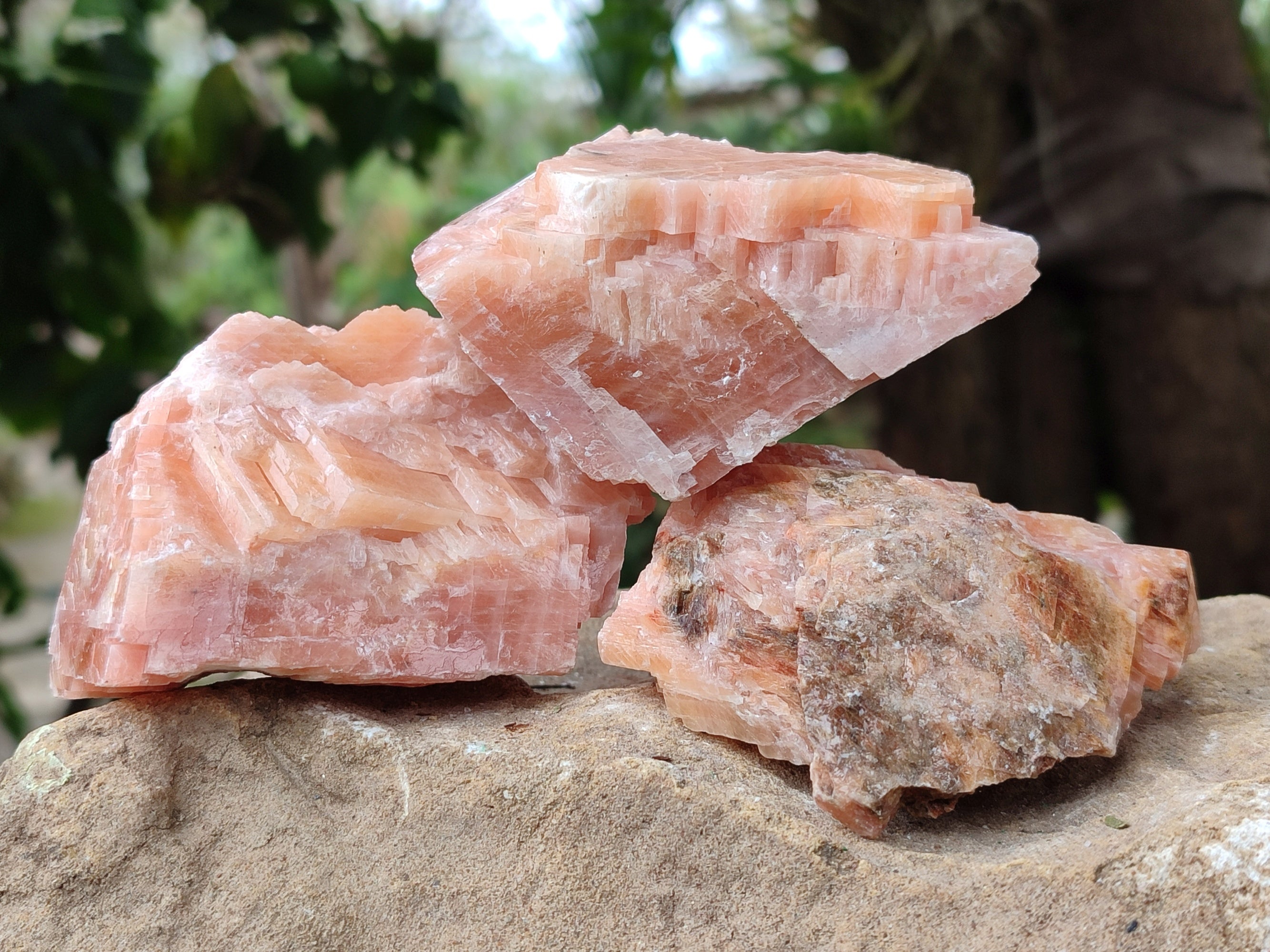 Natural Rhombohedral Sunset Orange Calcite Specimens x 12 From Spitzkop, Namibia - Toprock Gemstones and Minerals 