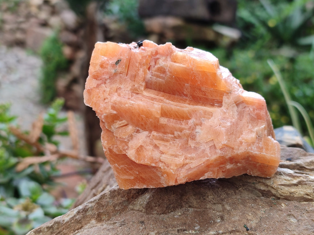 Natural Rhombohedral Sunset Orange Calcite Specimens x 12 From Spitzkop, Namibia - Toprock Gemstones and Minerals 