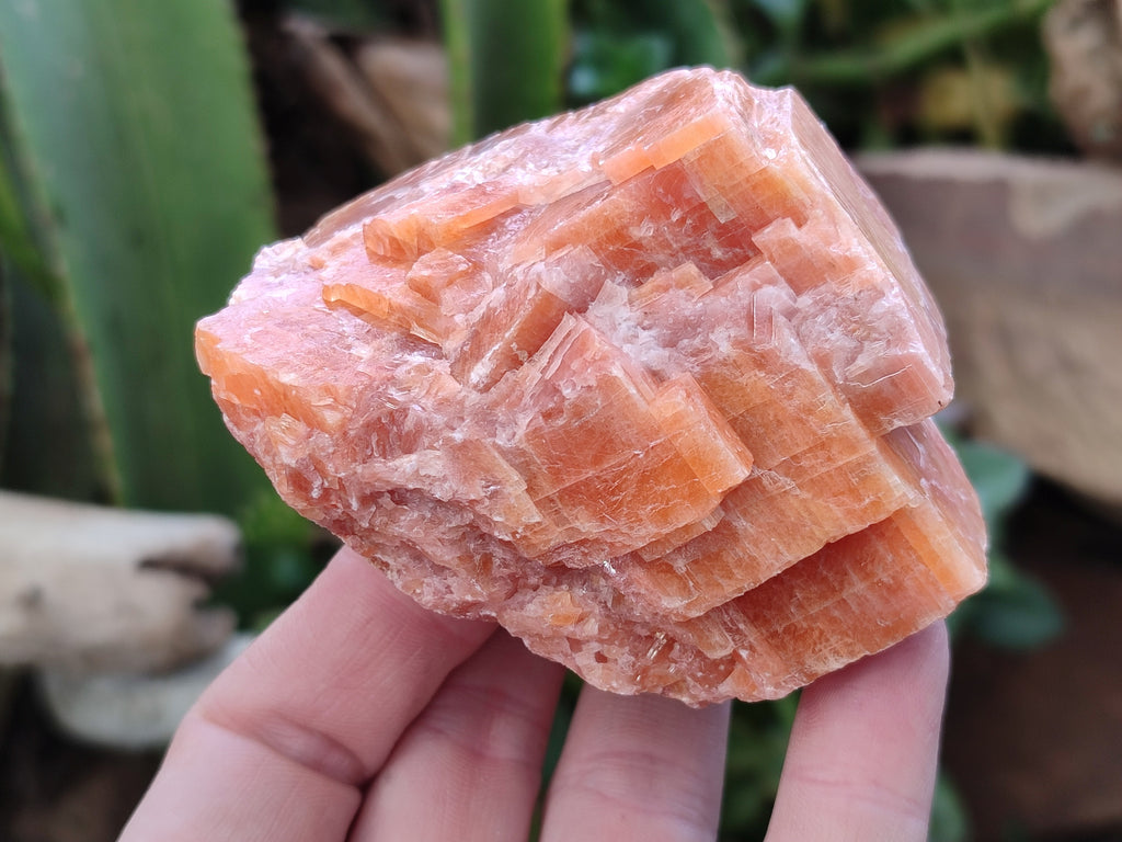 Natural Rhombohedral Sunset Orange Calcite Specimens x 12 From Spitzkop, Namibia - Toprock Gemstones and Minerals 