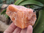 Natural Rhombohedral Sunset Orange Calcite Specimens x 12 From Spitzkop, Namibia - Toprock Gemstones and Minerals 