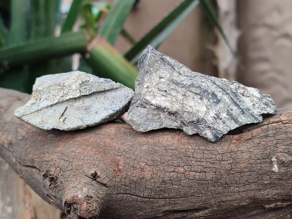 Natural Rare Pharaoh Stone Pyrite Cobbed Specimens x 35 From Iron Duke Mine, Zimbabwe - Toprock Gemstones and Minerals 