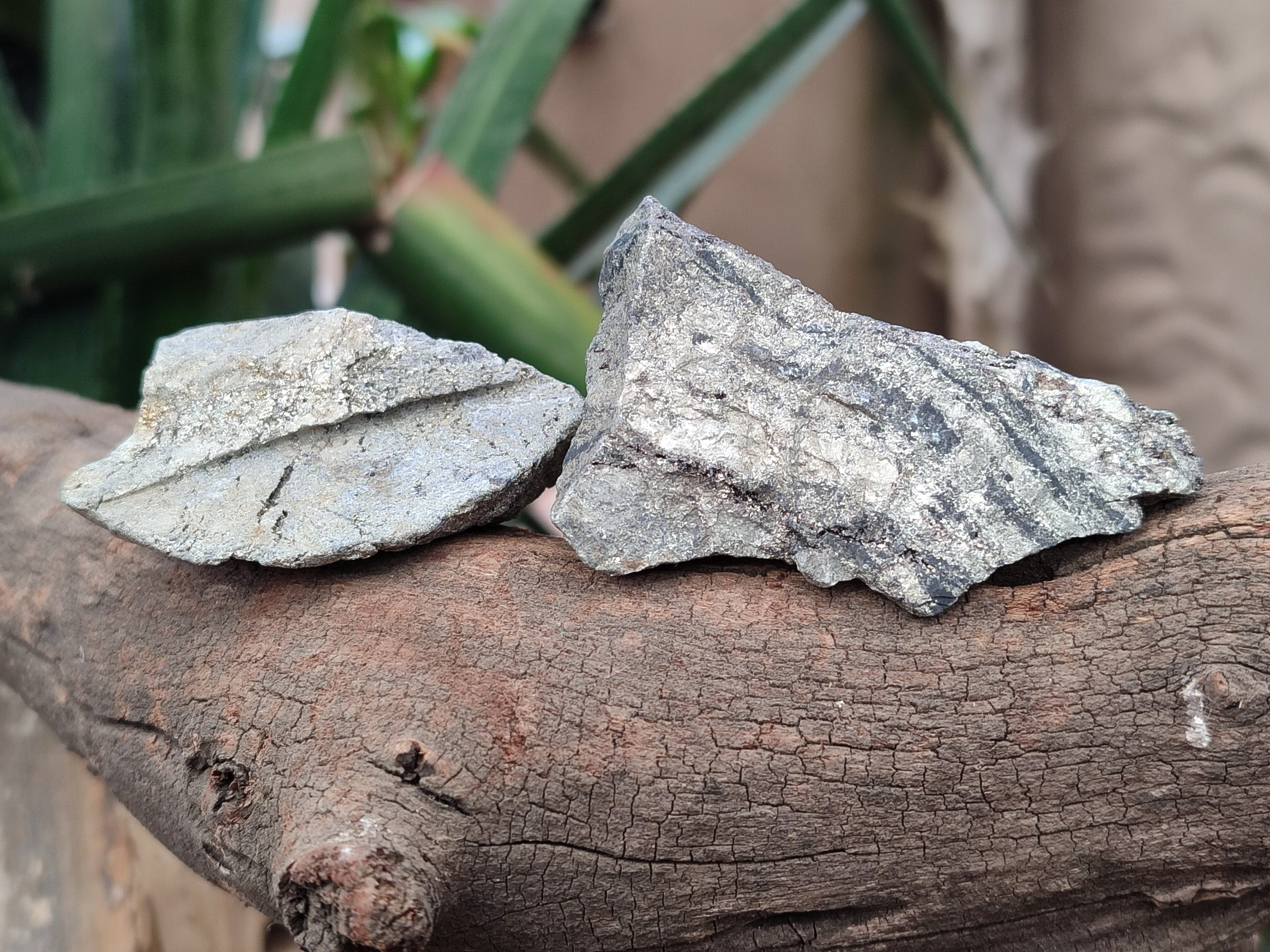 Natural Rare Pharaoh Stone Pyrite Cobbed Specimens x 35 From Iron Duke Mine, Zimbabwe - Toprock Gemstones and Minerals 
